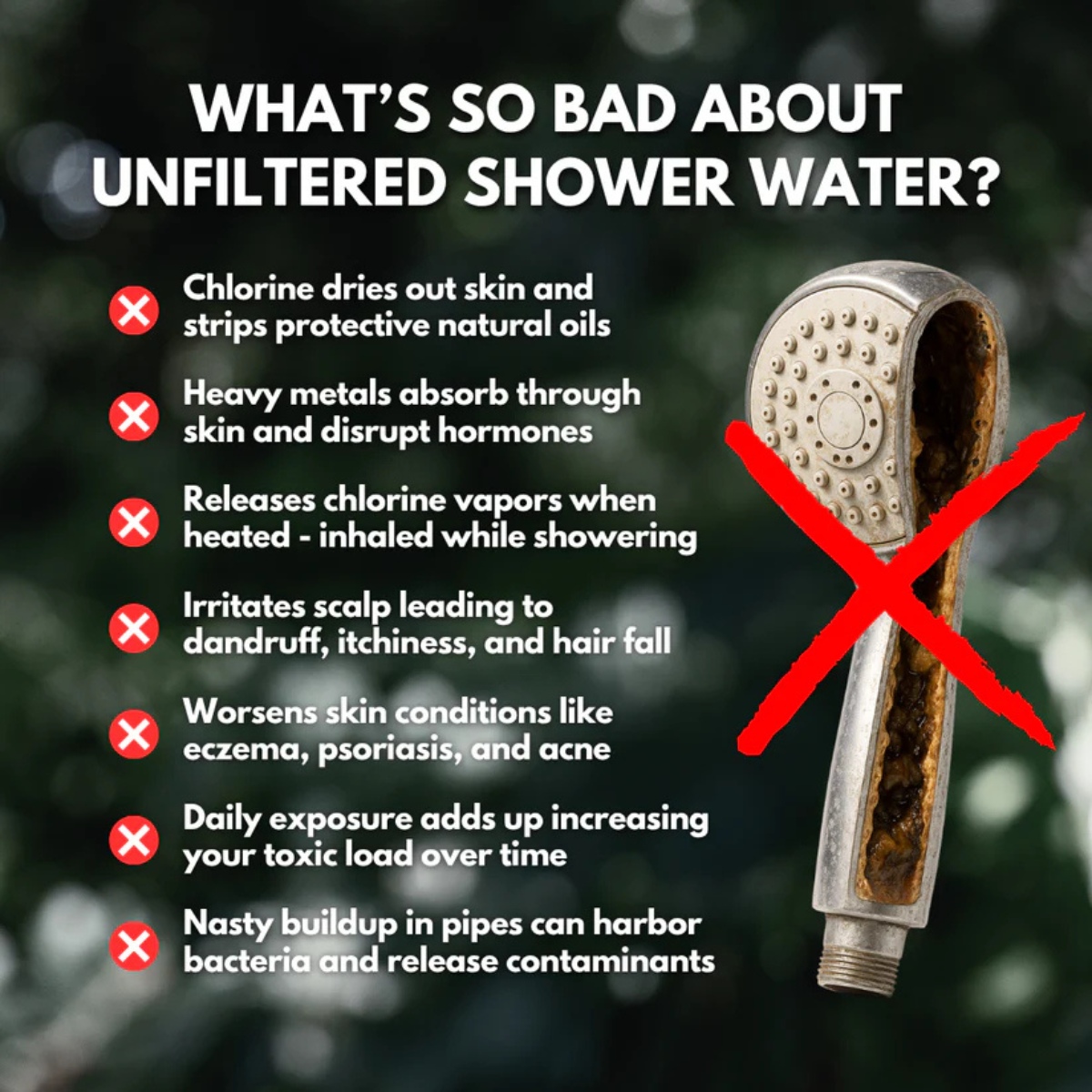 Delorien® Filtered Showerhead