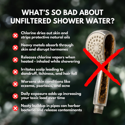 Delorien® Filtered Showerhead